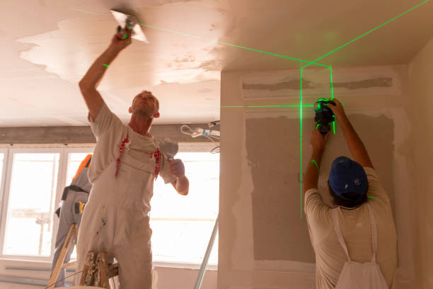 Reliable Lake Kiowa, TX Dry wall and painting Solutions